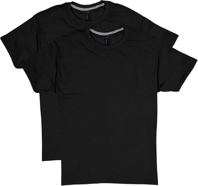 Hanes Men's X-Temp Performance T-Shirt 2-pk